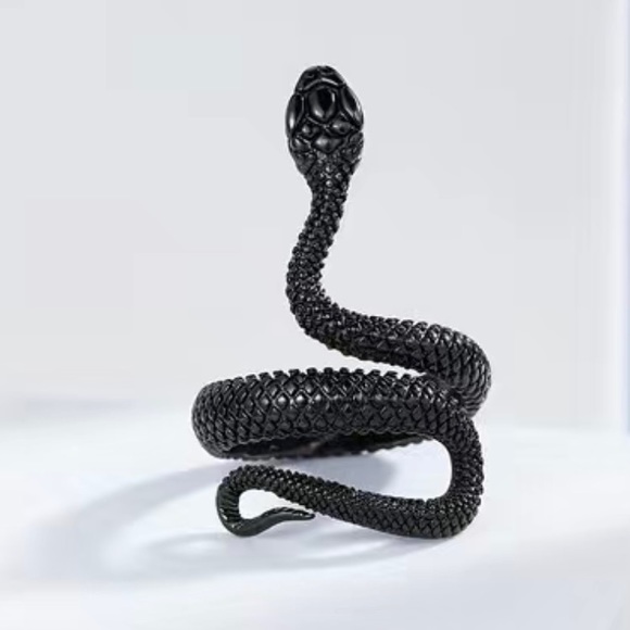 All Reputation Snake Rings Taylor Swift | Jewelry | Taylor Swift Black Snake Ring Reputation Album ...